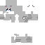Gray Minecraft skin texture, 64x64 pixels