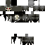 Minecraft skin texture, 64x64 pixels