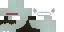 Minecraft skin texture, 64x32 legacy pixels