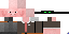 Minecraft skin texture, 64x32 legacy pixels