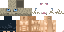 Minecraft skin texture, 64x32 legacy pixels