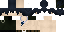 Minecraft skin texture, 64x32 legacy pixels
