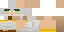 Minecraft skin texture, 64x32 legacy pixels
