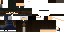 Minecraft skin texture, 64x32 legacy pixels